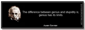 The Difference Between Genius And Stupidity