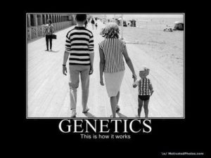 Genetics. This is how it works.