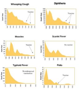 Disease\Vaccination Graphs