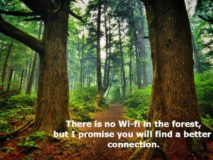 No Wi-fi In The Forest