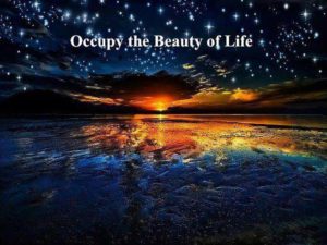 Occupy The Beauty Of Life