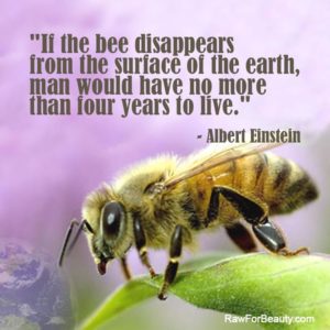 Protect Bees - Ban Bee Killing Pesticides