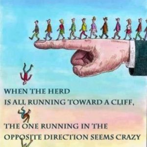 When The Herd Is Running Toward A Cliff