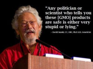 Any Politicians Who Tells You Genetically Modified Organisms are Safe is Ignorant or Lying