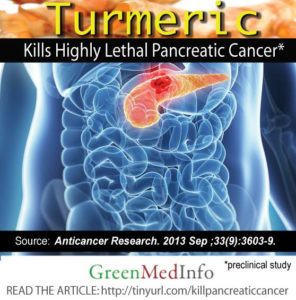Turmeric Kills Pancreatic Cancer