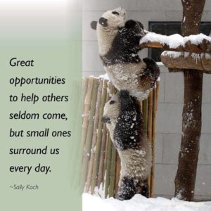 Small Opportunities To Help Surround Us