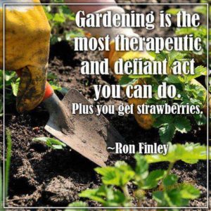 Gardening Is Therapeutic Defiance