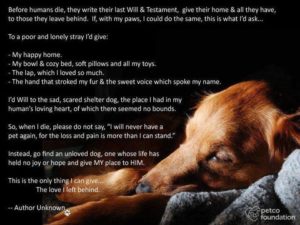 My Dog's Last Will and Testament