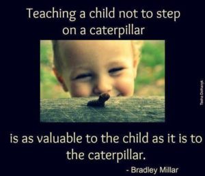 Teaching A Child Not To Step On A Caterpillar Is As Therapeutic For The Child As It Is The Caterpillar
