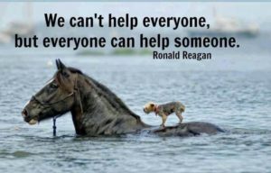 We Can't Help Everyone but everyone can help someone. - Ronald Reagan