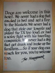 Dogs Are Welcome In This Hotel