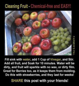 Cleaning Fruit