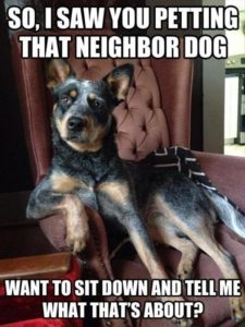 Petting The Dog Next Door