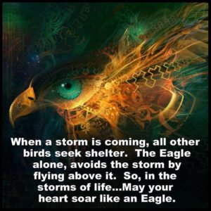 Rise Above The Storms Of Life Like An Eagle