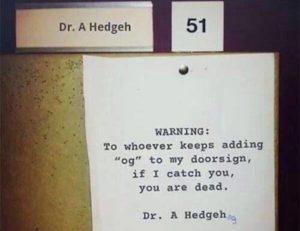 Dr HedgeHog