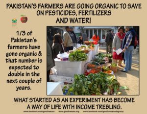 Pakistan Going Organic