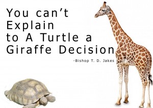You Cannot Explain a Giraffe Decision to a Turtle