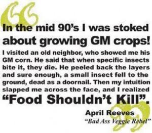 Food Should Not Kill!