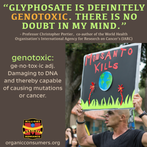 Glyphosate Is Genotoxic