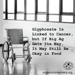 Glyphosate Linked To Cancer