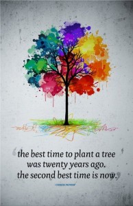 The Best Time To Plant A Tree