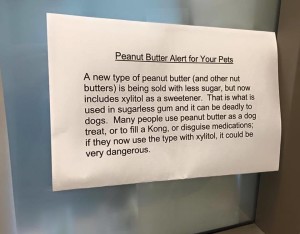 Xylitol Deadly To Dogs