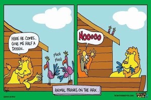 Animal Pranks On The Ark