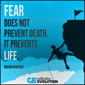 Fear Prevents Life