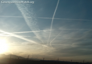 How Do We Stop Chemtrail Poisoning? 