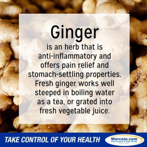 The Uses Of Ginger