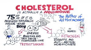Cholesterol Is A Hormone