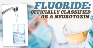 Fluoride is a neurotoxin