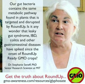 RoundUp Deadly To People Too