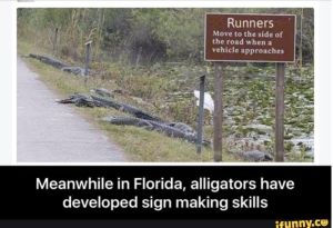 Mean While In Florida