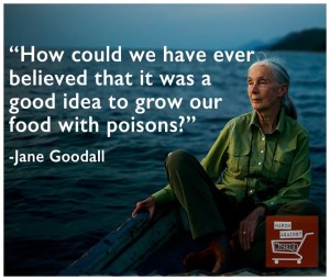 How Could We Have Ever Believed It Was A Good Idea To Grow Our Food With Poison?