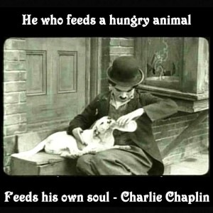 He Who Feeds A Hungry Animal Feeds His Soul