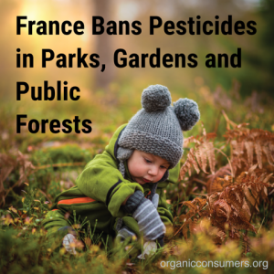 France Bans Pesticides In Parks