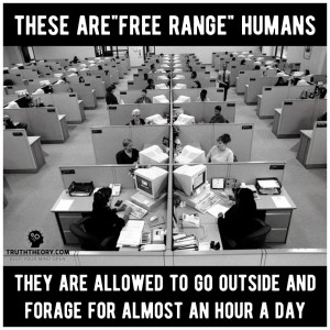 Free Range Humans - The New Slavery