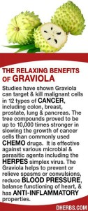 Graviola