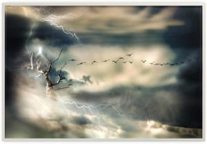 Storm Sky
