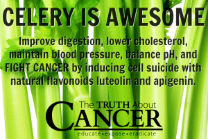 Celery Is Awesome