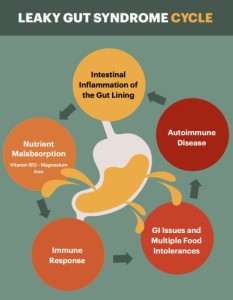 Leaky Gut Cycle