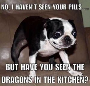 Have You Seen The Dragons In The Kitchen?