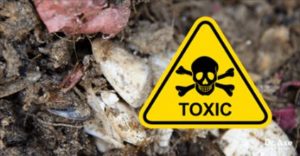 Toxic Biosludge