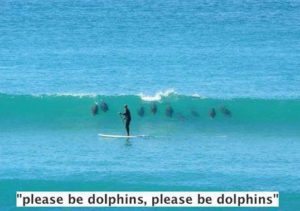 Dolphin Prayer