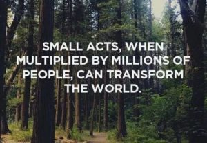 Small Acts, When Multiplied, Can Change The World