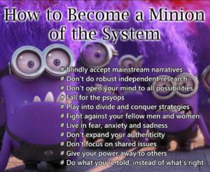 How To Be A Minion Of The System