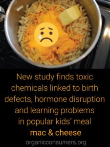 Macaroni And Cheese Toxic Meal