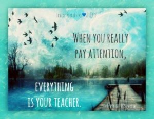Everything Is Your Teacher