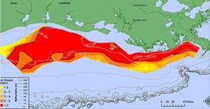 Gulf Of Mexico Dead Zone Largest Ever Measured